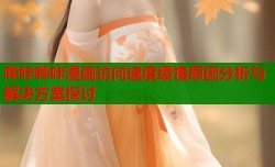 哔咔哔咔漫画访问速度缓慢原因分析与解决方案探讨