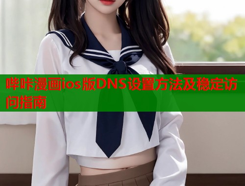 哔咔漫画ios版DNS设置方法及稳定访问指南  第2张